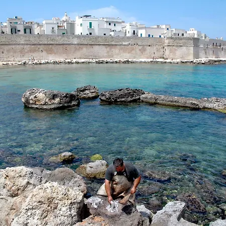 Don Cosimo Tra Ulivi Secolari Villa Monopoli
