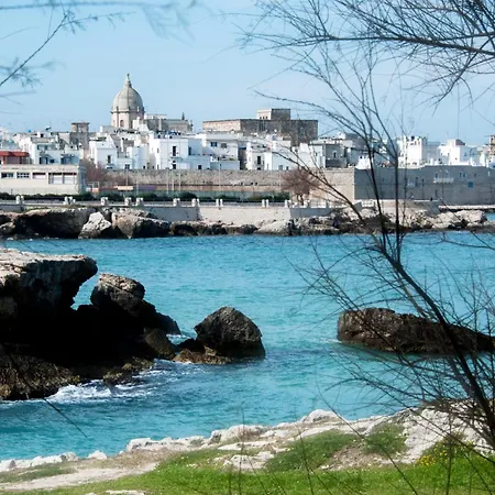 Don Cosimo Tra Ulivi Secolari Vila *