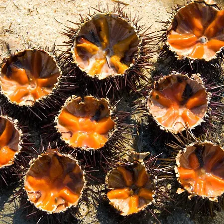 Villa Don Cosimo Tra Ulivi Secolari *