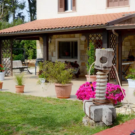 Don Cosimo Tra Ulivi Secolari *