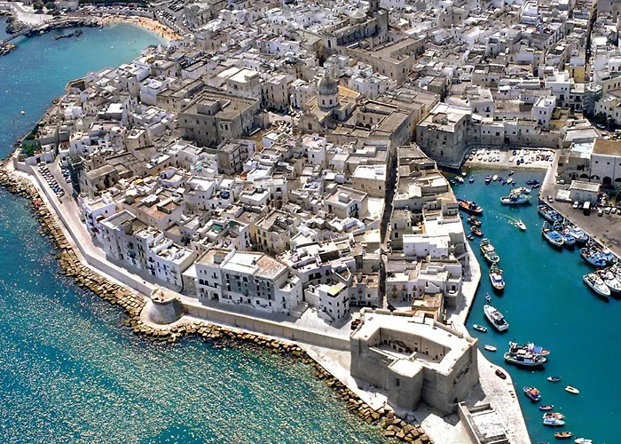 Don Cosimo By Sthey Willa Monopoli